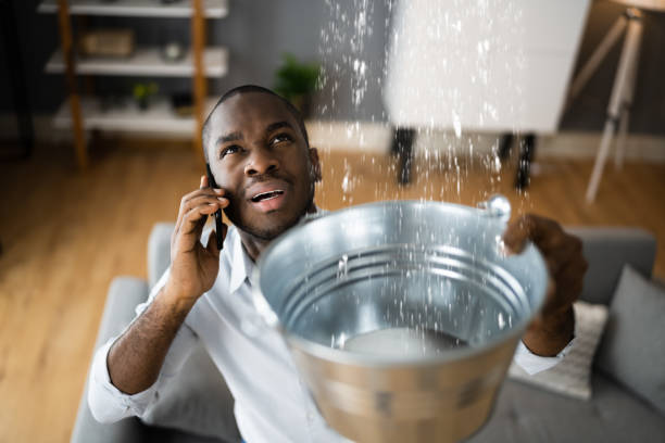 Best Carpet water damage restoration  in Nocona, TX