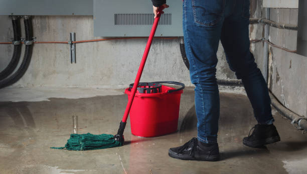 Best Water damage restoration near me  in Nocona, TX