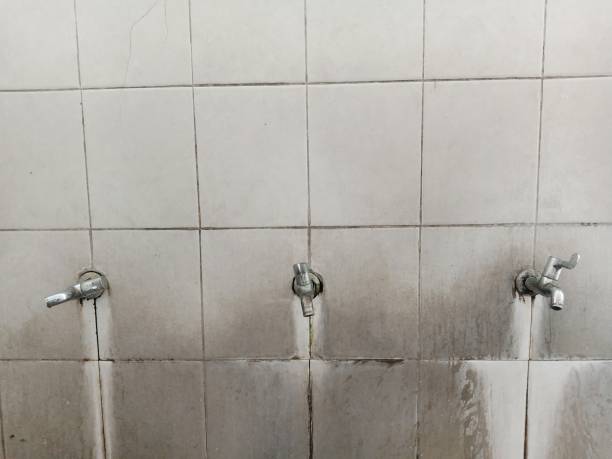 Best Emergency water damage restoration  in Nocona, TX