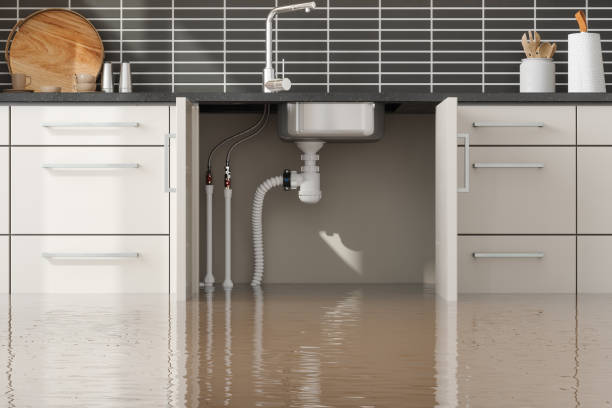 Best Emergency water extraction  in Nocona, TX